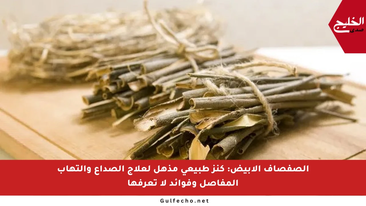الصفصاف الأبيض: كنز طبيعي مذهل لعلاج الصداع والتهاب المفاصل وفوائد لا تعرفها